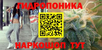 шишки Шелехов