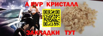 шишки Шелехов