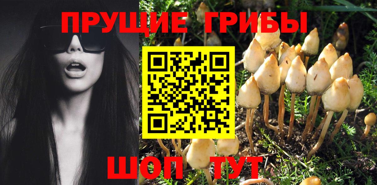 ГАШ  A-PVP СК кристаллы  КОКАИН  Вход с VPN  Сунжа  Канабис  МЕФ кристаллы 