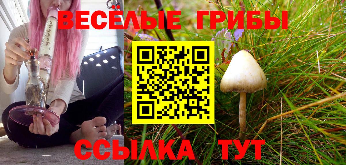 Галлюциногенные грибы GOLDEN TEACHER  Вход с VPN  Сунжа 